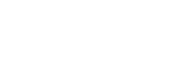 nationalDigifoundryLogo